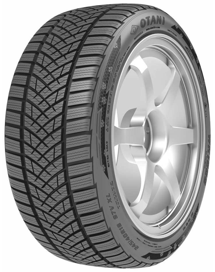Levně OTANI WK1000 205/55 R16 91 H Zimní